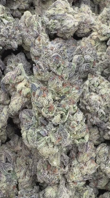 Slurricane - Bulk - Indica