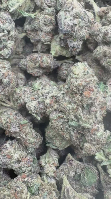 Icy Pop Mediums - Bulk Mediums - Hybrid