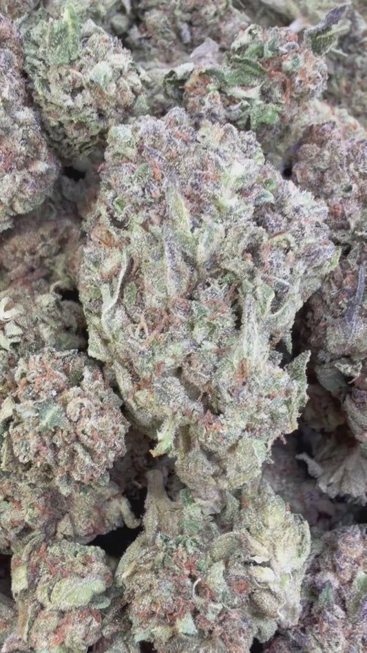 Gruntz - Bulk - Indica