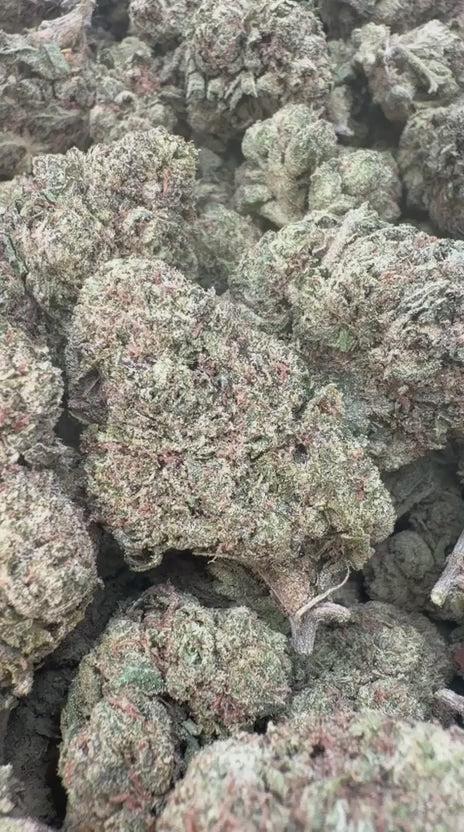Blueberry Zkittlez Indoor - Bulk - Indica