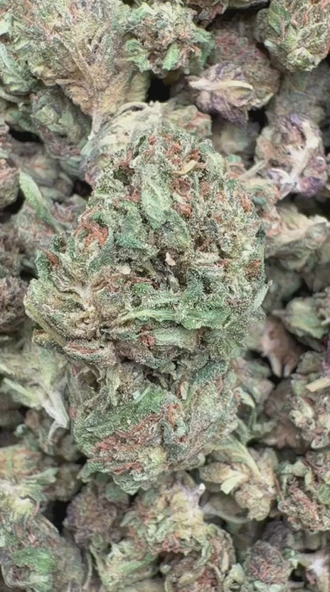 NYC Sour Diesel Minis - Bulk Minis - Sativa