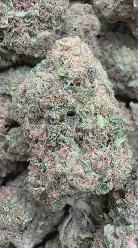 Gas Candy - Bulk - Hybrid
