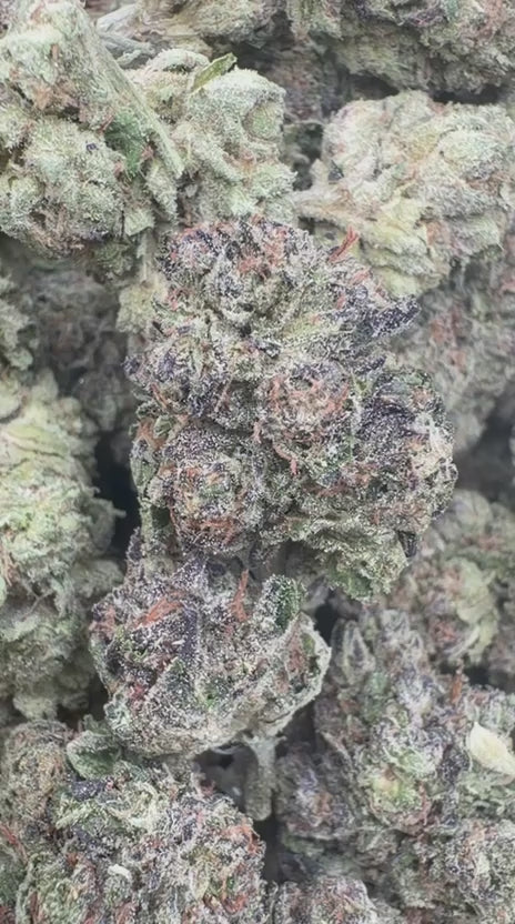 Cereal Milk - Bulk - Hybrid