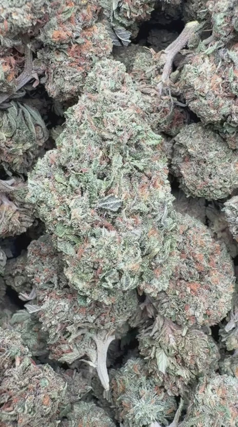 Grease Monkey - Bulk- Indica