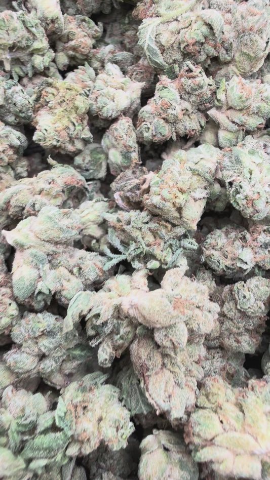 Wedding Cake Minis - Bulk Minis - Indica