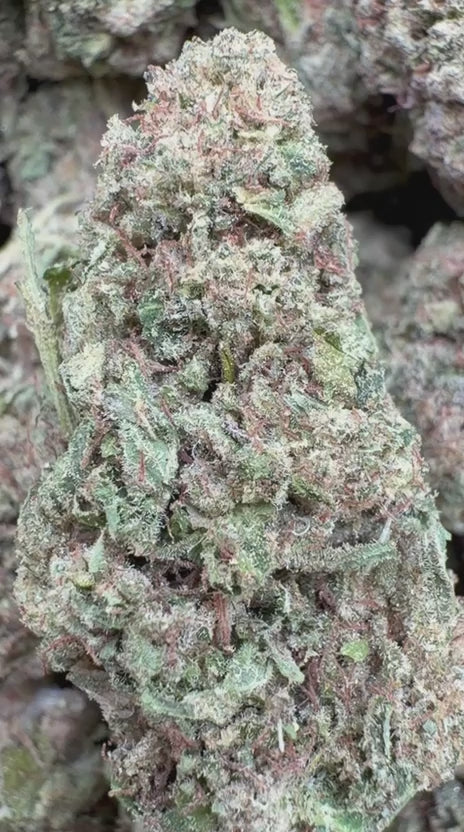 Pink Certz - Bulk - Indica