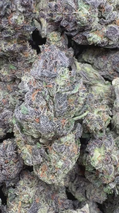 Peak 112 - Bulk - Indica
