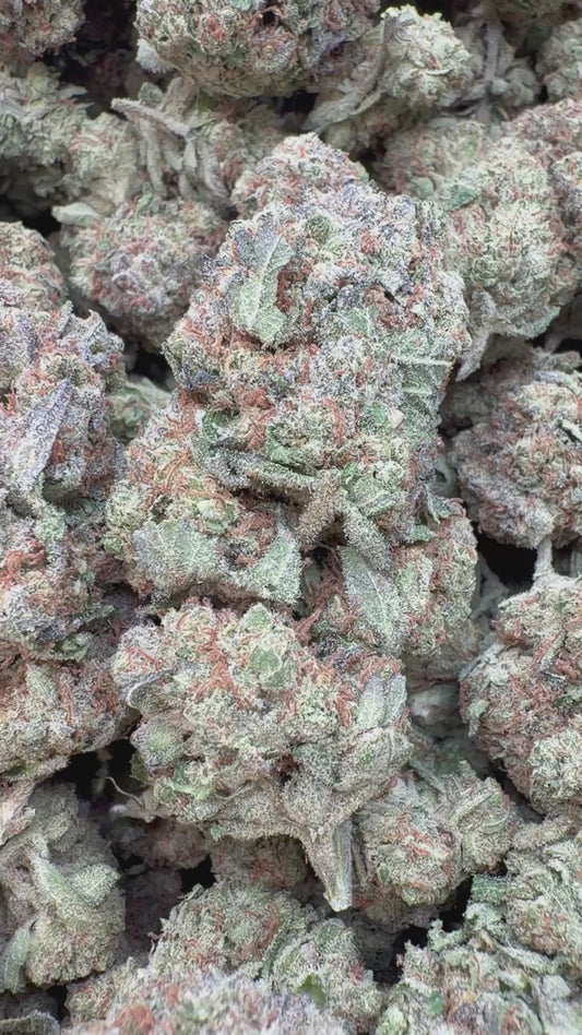 Lambs Bread - Bulk - Sativa