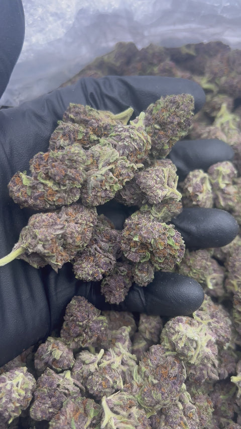 Granddaddy Purple - Bulk (Indica)