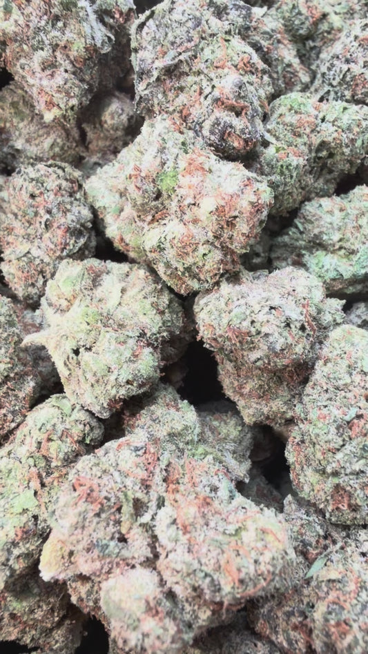 White Nerds Mediums - Bulk Mediums - Hybrid