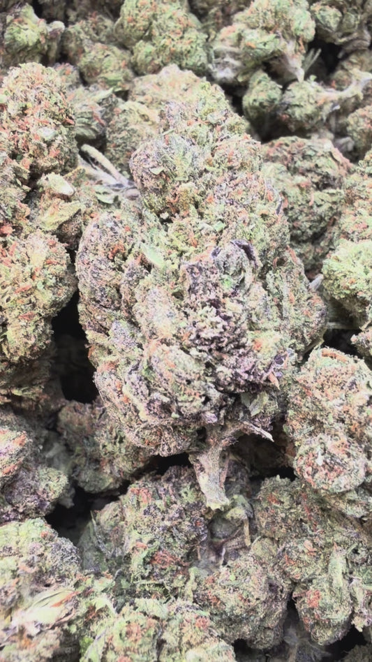 Sour Diesel - Bulk - Sativa