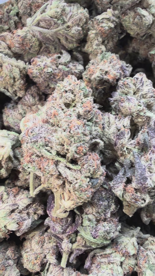 Purple Octane - Bulk - Indica
