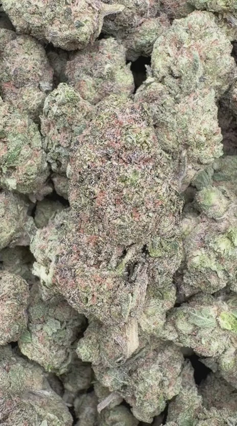 Hash Plant - Bulk- Indica