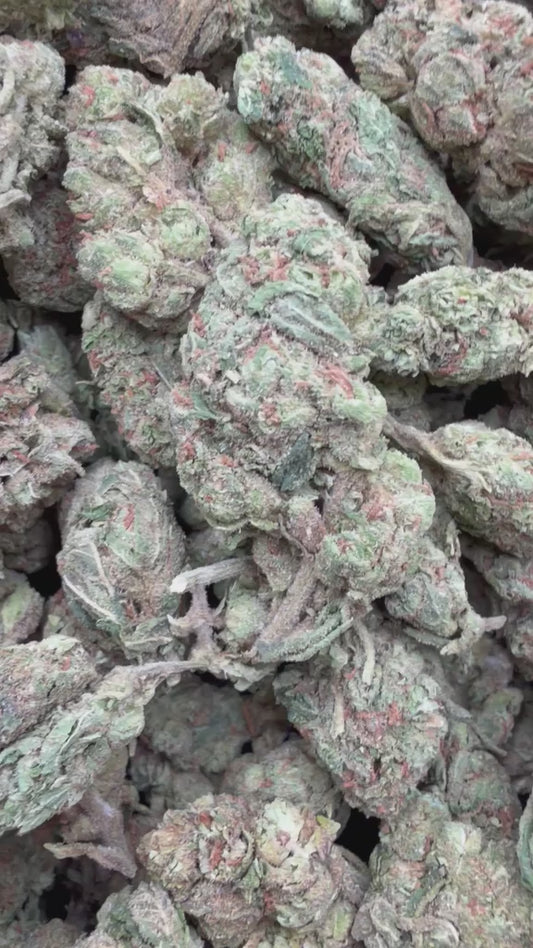 Runtz - Bulk - Hybrid