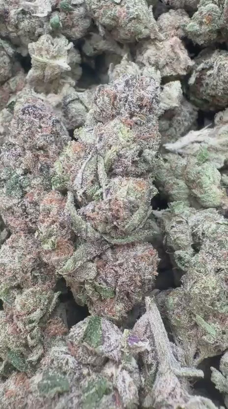 Sharpie Candy - Bulk- Hybrid