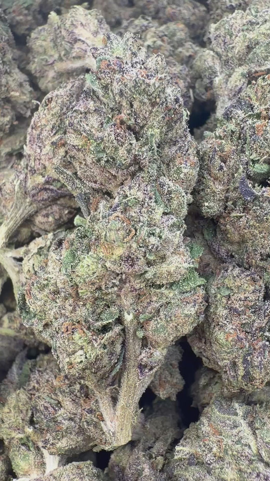 Space Runtz Indoor - Bulk - Hybrid