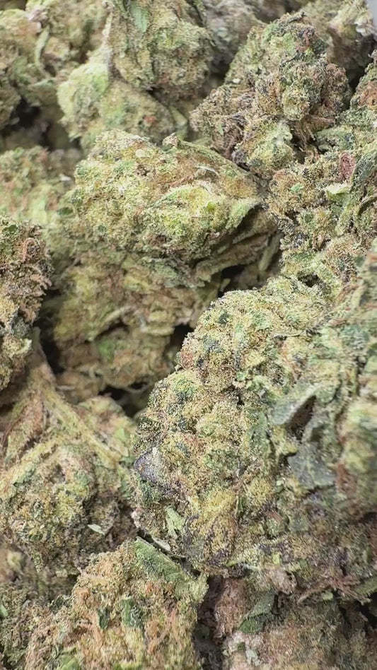 Acapulco Gold - Bulk - Sativa