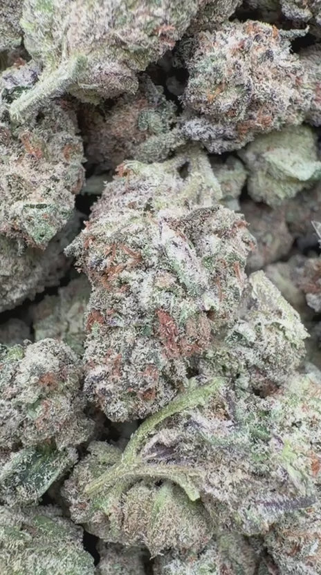 White Nerds Indoor Mediums - Bulk Mediums - Hybrid