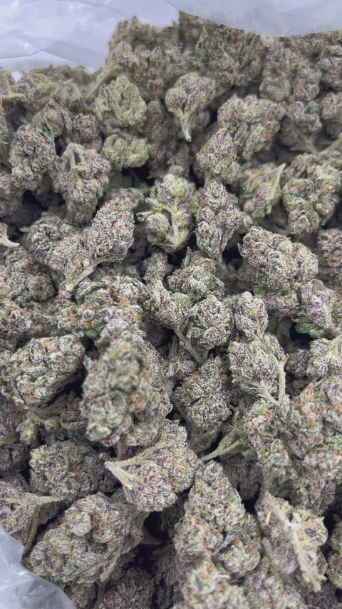 Gelato 33 - Bulk - (Hybrid)