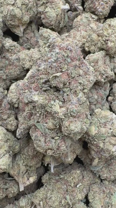 Strawberry Gelato - Bulk - Hybrid