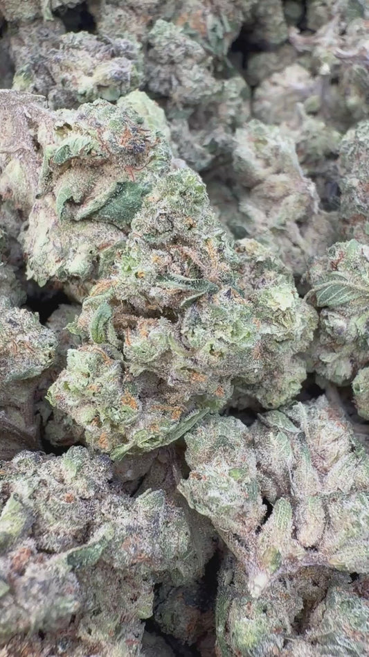 Cheesecake- Bulk - Indica