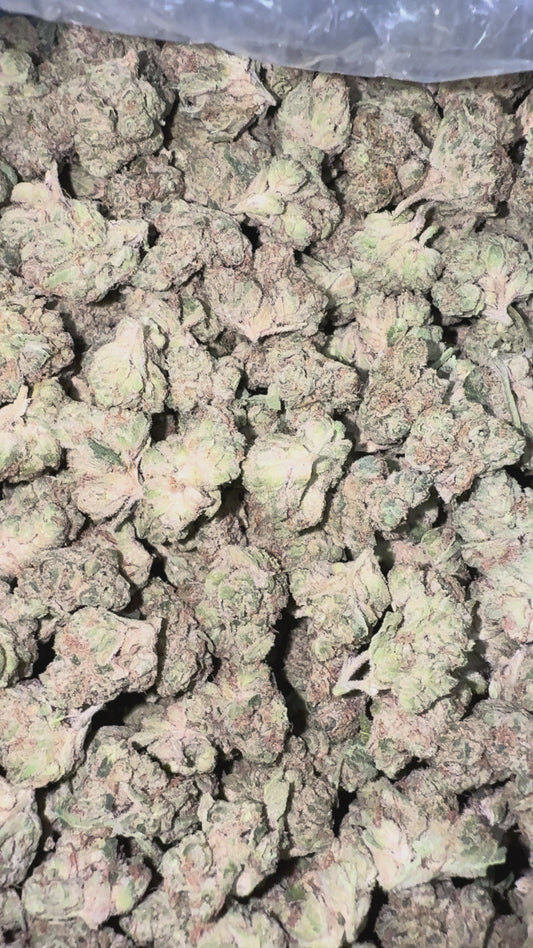 Thin Mintz Minis - Bulk Minis - Hybrid