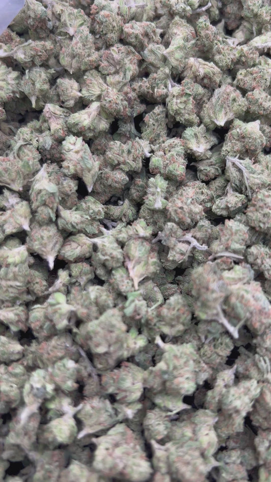 Alien OG Minis - Bulk - Minis - Indica