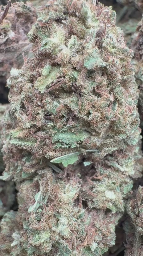 Banjerine - Bulk - Sativa