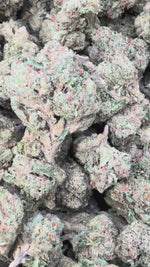 Blue Andes OG - Bulk - Hybrid