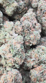 Double Dream - Bulk - Sativa