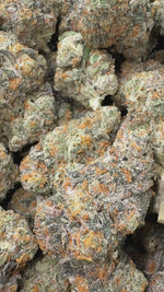 Night Shade - Bulk - Indica