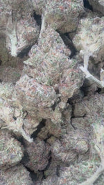 Cheesecake- Bulk - Indica