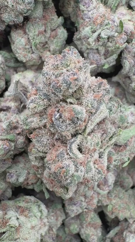 Super Boof - Bulk - Hybrid