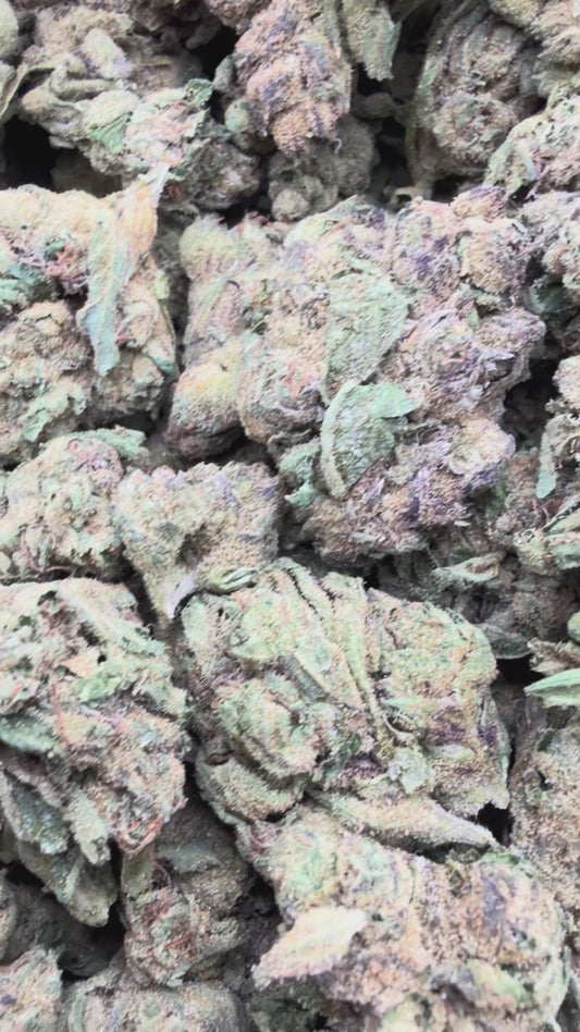 Cherry Runtz - Bulk- Hybrid