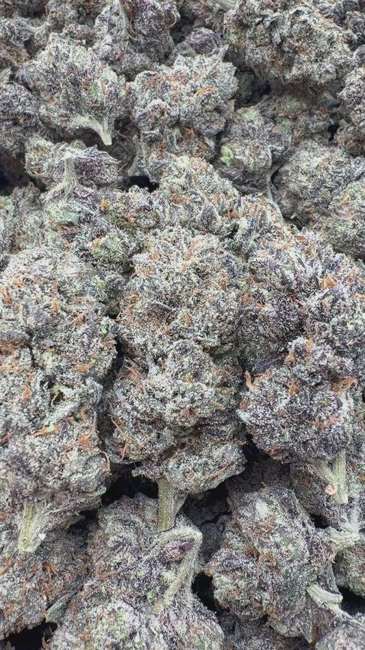 Grape Ape Indoor - Bulk - Hybrid