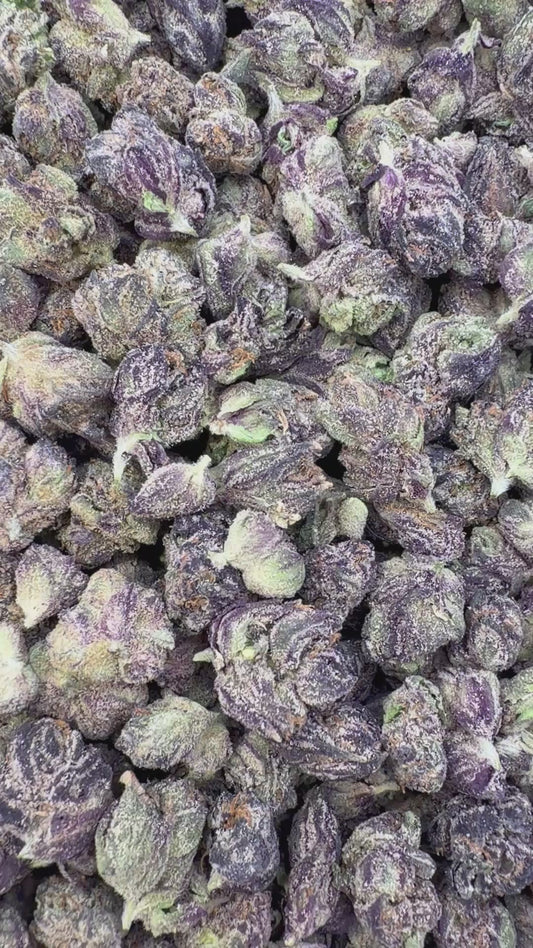 Boutique Exotics Crunch Berries Minis - Bulk Minis - Indica