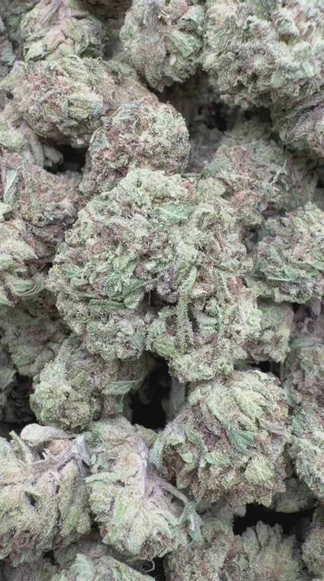 Super Runtz Mediums - Bulk Mediums - Hybrid