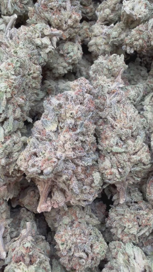 Oreoz - Bulk - Indica