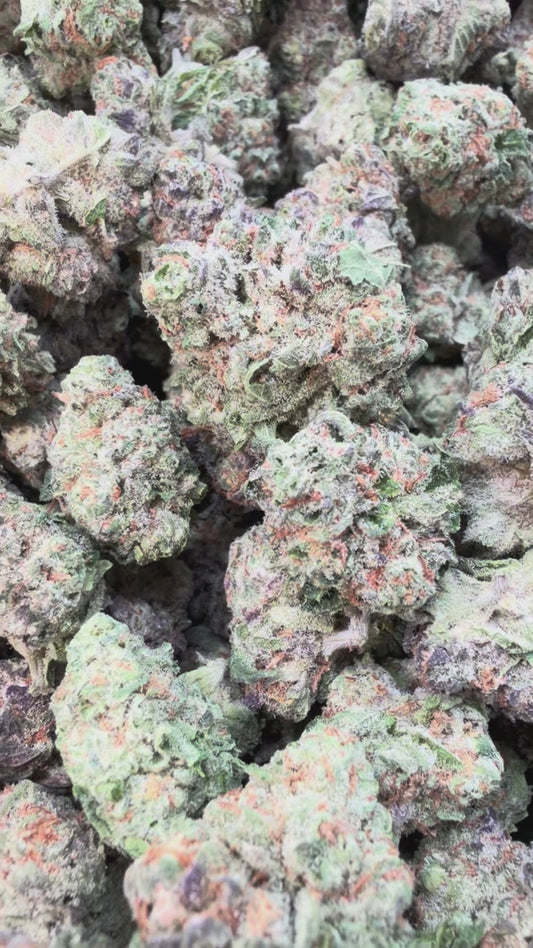 Snozz Berries Indoor Mediums - Bulk Mediums - Hybrid