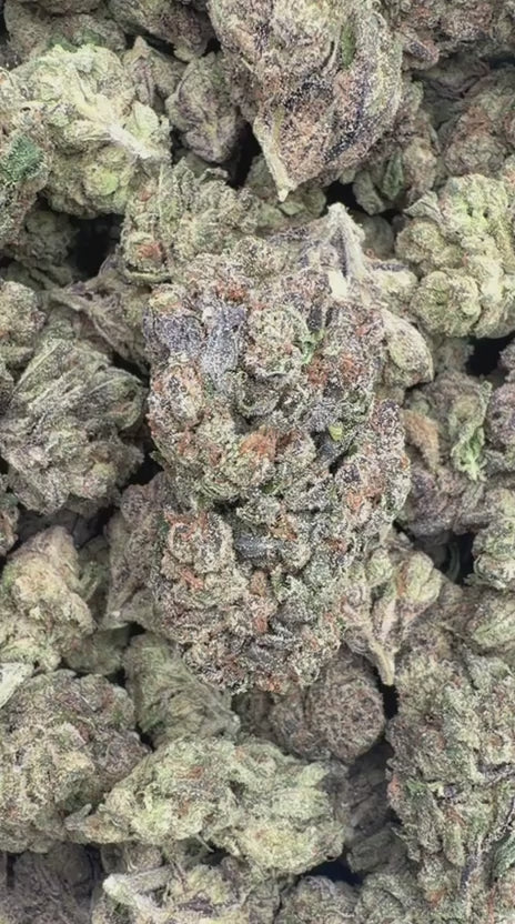 Super Runtz - Bulk - Hybrid