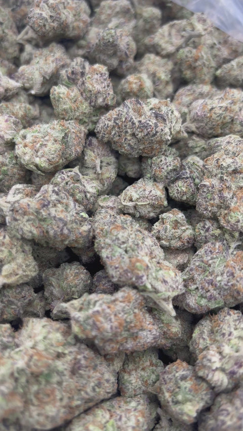 Purple Punch - Bulk (Indica)