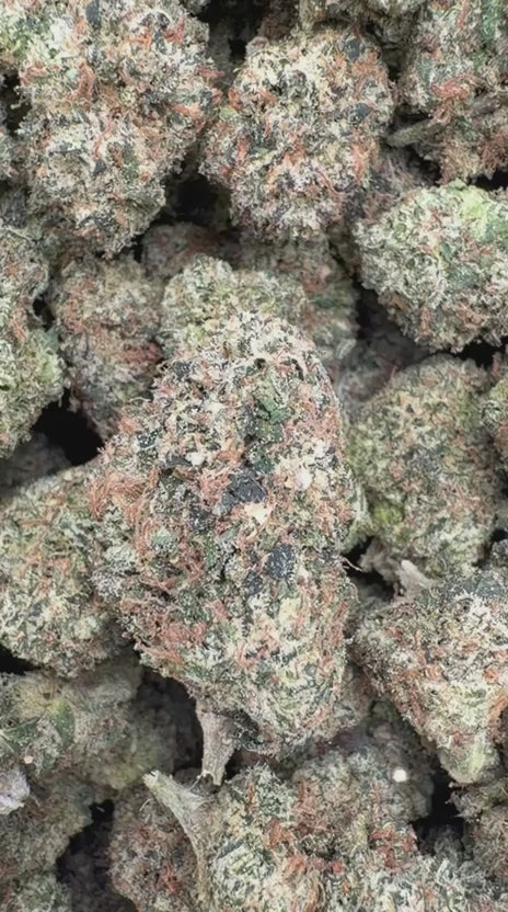 Warheads Indoor Mediums - Bulk Mediums - Sativa