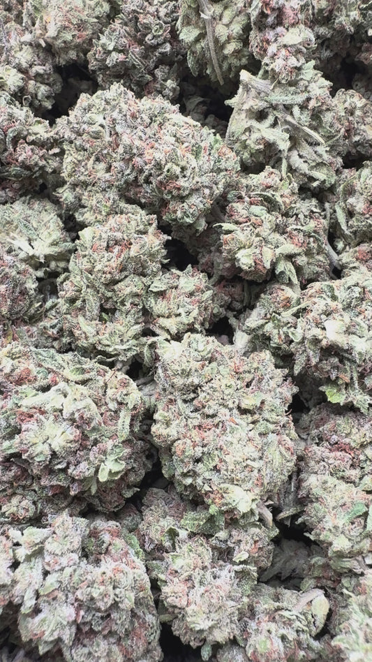 Mendo Breath - Bulk - Indica