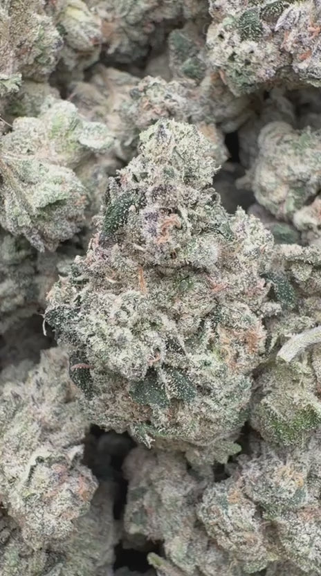 Khalifa Kush Indoor - Bulk - Indica
