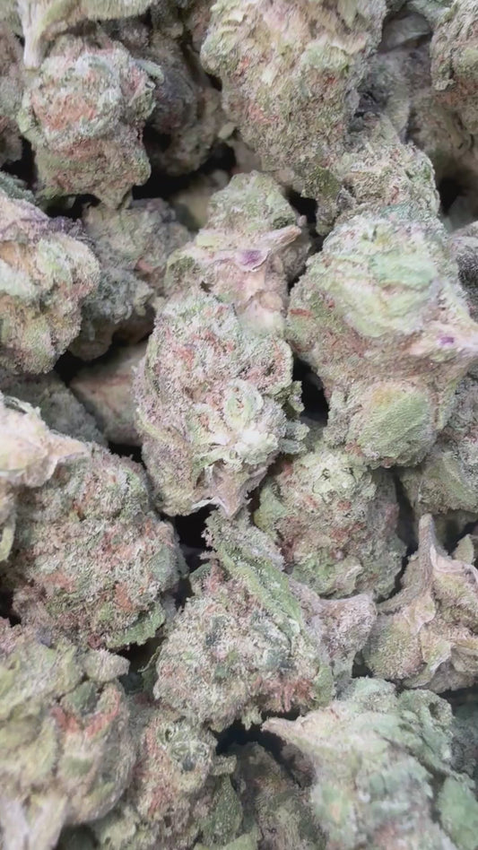 Gusher Mintz Minis - Bulk Minis - Hybrid