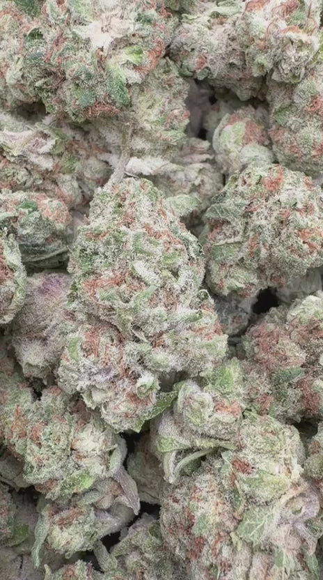 Blue Punch - Bulk - Indica