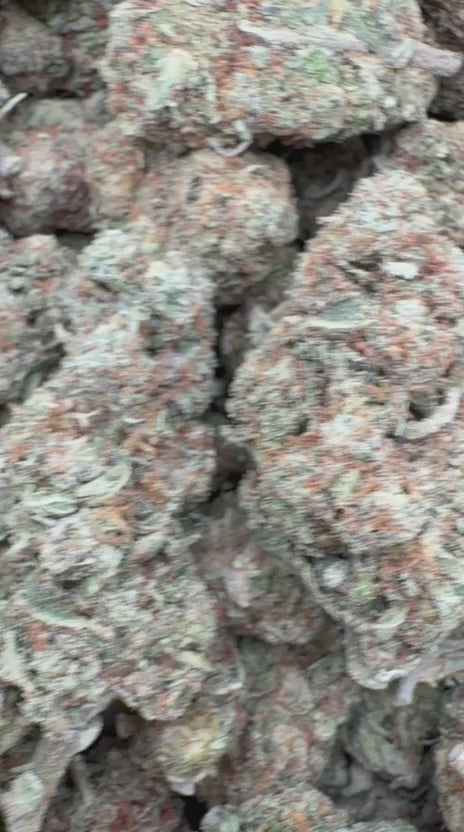 Master Kush - Bulk - Indica