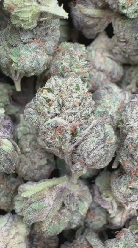 Ice Cream Cake Mediums - Bulk Mediums - Indica