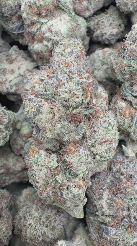 Galaxy OG - Bulk - Indica