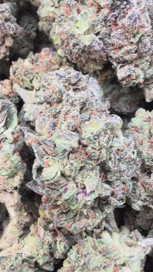 Froot By The Foot - Bulk - Indica